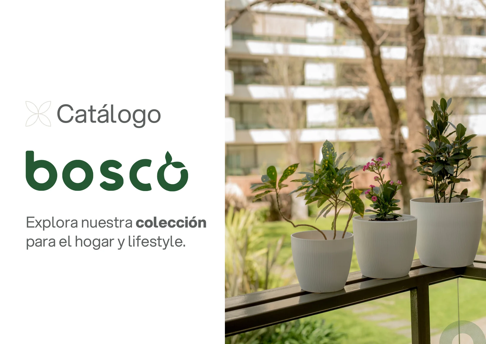 Tapa del catálogo Bosco 2026