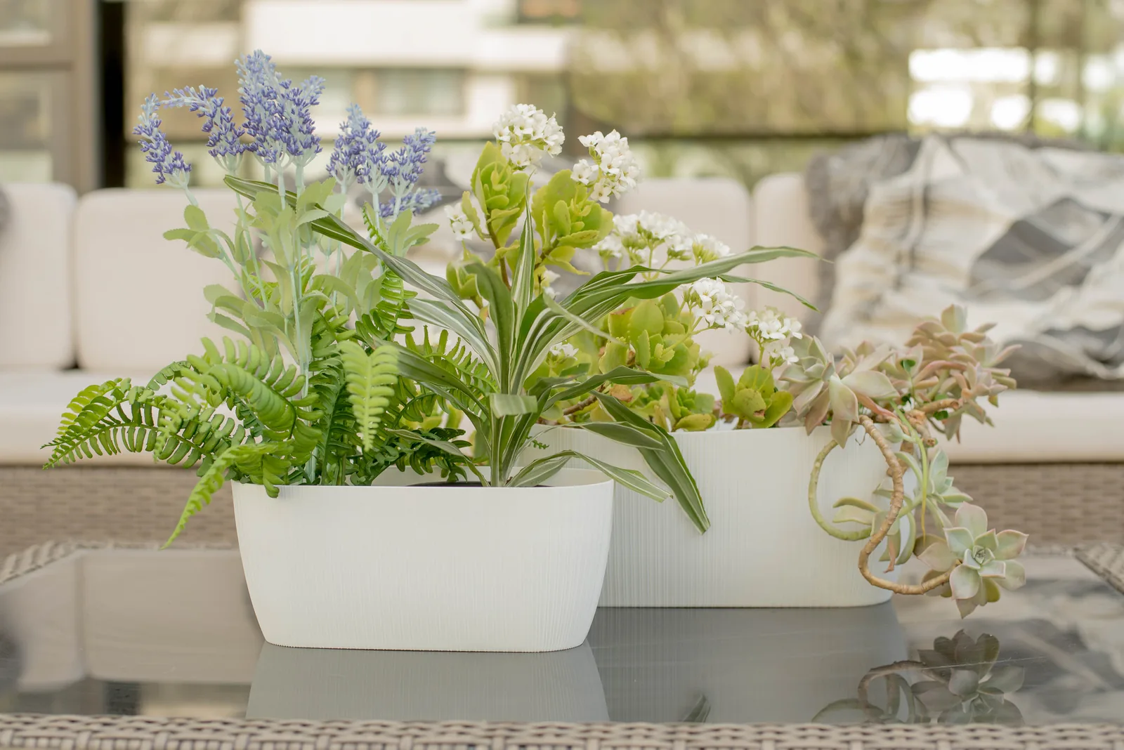 Dos jardineras Bosco blancas con plantas sobre una mesa de galería