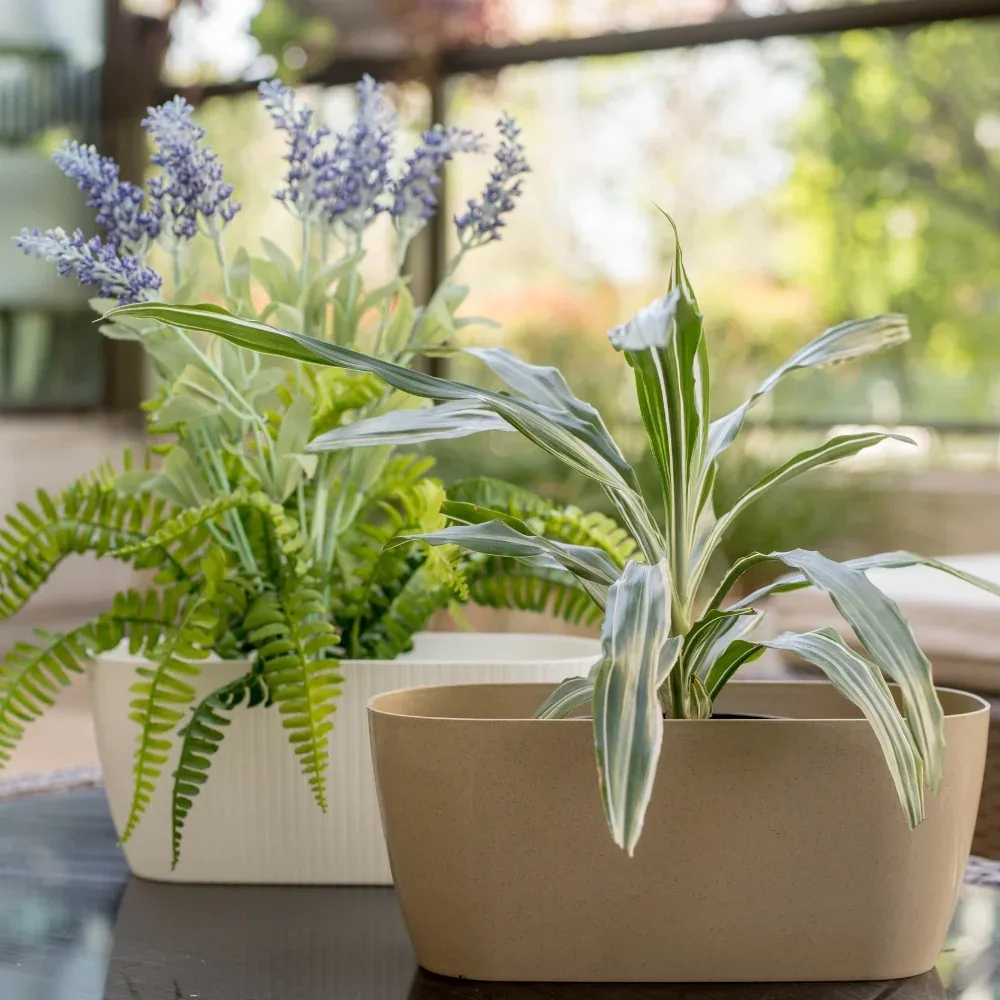 Dos macetas ovaladas de Bosco con plantas, en una terraza luminosa